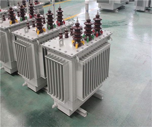 甯夏S13-100KVA/10KV/0.4KV油(yóu)浸式變壓器